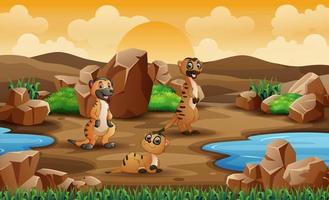 Scene with meerkats in field illustration vector