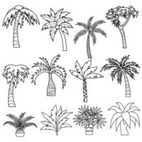 dibujos animados de palmeras en estilo de contorno vector