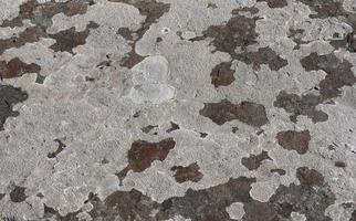 grey concrete texture background photo