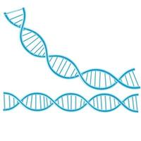 Concept Dna isolated background. vector