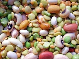 Beans soup salad photo