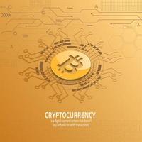 Golden bitcoin on circuit golden yellow background, vector