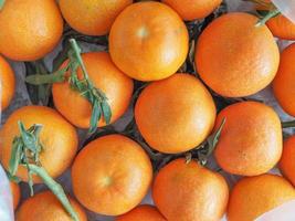 tangerine fruit food photo