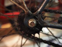 bike freewheel and chain photo