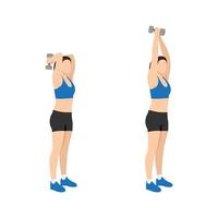 Woman doing Dumbbell triceps extension exercise. Flat vector illustration isolated on white background