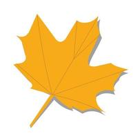 maple leaf with shadow vector