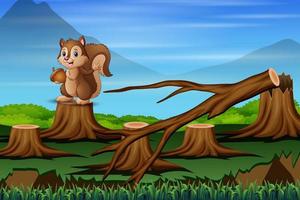 Cartoon a squirrel in deforestation scene vector