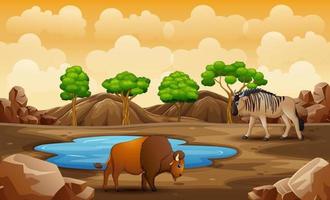 animales de dibujos animados en la tierra seca vector