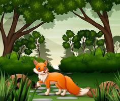 A fox looking for prey at forest scene vector