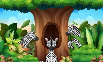 A group of zebra looking a hollow tree vector