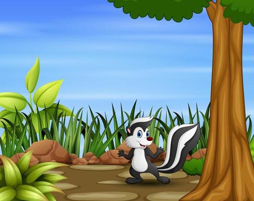 Cartoon a racoon in the field