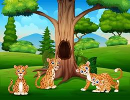 una familia de leopardos que vive en la jungla vector