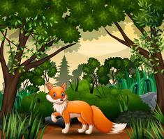 A fox looking for prey at forest scene vector