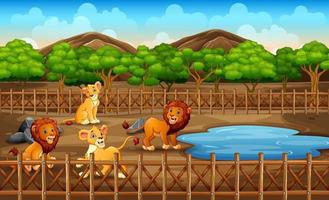 Scene with lions at the open zoo illustration vector