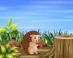 Cartoon hedgehog in the field vector