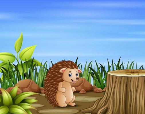 Cartoon hedgehog in the field