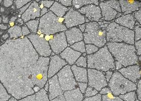 yellow leaves lie on the asphalt with cracks. photo