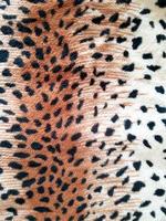 leopard skin pattern closeup background animal fur photo