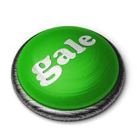 Palabra de vendaval en el botón verde aislado en blanco foto