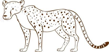 leopardo en estilo simple de garabato sobre fondo blanco vector