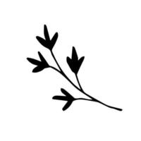 Simple hand-drawn vector drawing. Sprig with leaves, black silhouette on a white background. Element of nature, plant, flower branch.