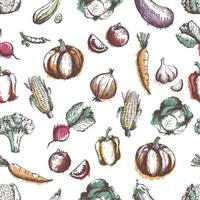 Vegetables seamless pattern. Hand draw vintage vegetables. Healthy Food Seamless Pattern. Sketch healthy vegetarian food. Harvest. vector
