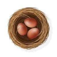 Wild bird nest from straw and twigs with chicken eggs vector