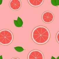 Seamless pattern of citrus fruit slices of grapefruit isolated on rose background vector