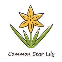 Common star lily yellow color icon. Blooming wildflower. Spring blossom. Toxicoscordion fremontii plant inflorescence. Meadow deathcamas name inscription. Star zigadene. Isolated vector illustration
