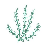 Graceful green twig. Contour leaves. Vector isolated element. Garden plant. Summer or spring design