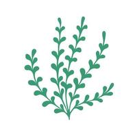 Sprig on a white background. Doodle. Isolated vector illustration with leaves. Leaves are a separate element. Hand drawing.