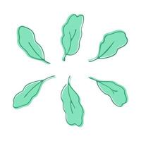 Set leaves on a white background. Nature doodle. Isolated vector illustration. Leaf are a separate element.