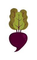 Beet or beetroot vegetable with leaves.Flat design. Vector illustration. Vector illustration