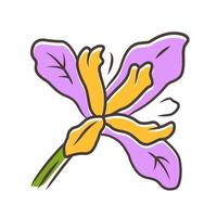 Douglas iris plant purple color icon. California blooming wildflower. Garden flower, weed. Iris douglasiana. Spring blossom. Isolated vector illustration