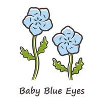 Baby blue eyes color icon. Linen blooming flower with name inscription. Nemophila menziesii garden plant. Blue flax inflorescence. Wildflower blossom. Isolated vector illustration