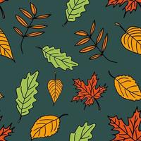 vector seamless pattern of autumn leaves on dark green isolated background.