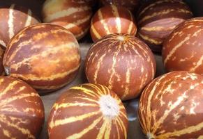 Dark orange asian melons close up. photo