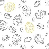 Seamless pattern with hand drawn nuts vector