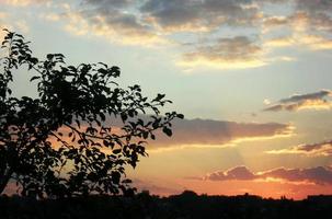 cielo del atardecer cielo hermoso. nubes silueta de arbol foto