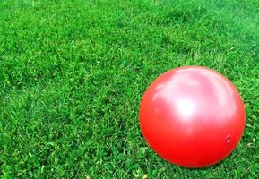 red ball lies on the green grass photo