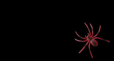 pancarta de halloween figura de una araña sobre un fondo negro. espacio para texto, espacio de copia. insecto. volante, invitación foto