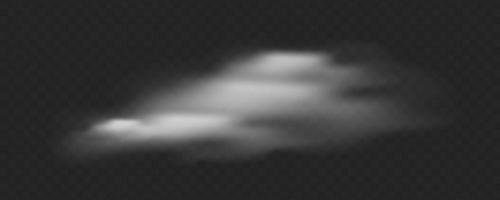 Realistic cloud illustration. Laying gas in motion. Dust on transparent background vector