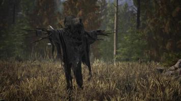 terrible scarecrow in dark cloak and dirty hat stands alone in autumn field video