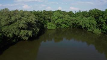 Aerial view of lake and green trees - backwards video