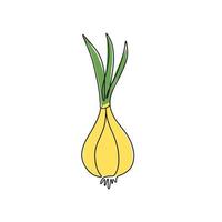 Hand drawn vector illustration of a onion in single line style. Cute illustration of a vegetable on a white background.
