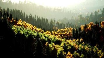 puesta de sol brillante en las montañas con bosque video