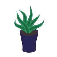 Houseplant in the pot vector illustration. in flat style