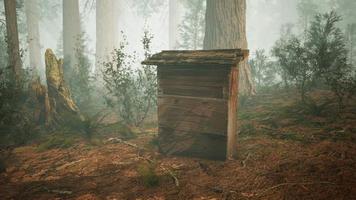 Old wooden beehive in forest in fog