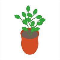 Houseplant in the pot vector illustration eps. 10