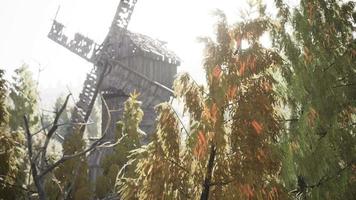 oude traditionele houten windmolen in het bos video